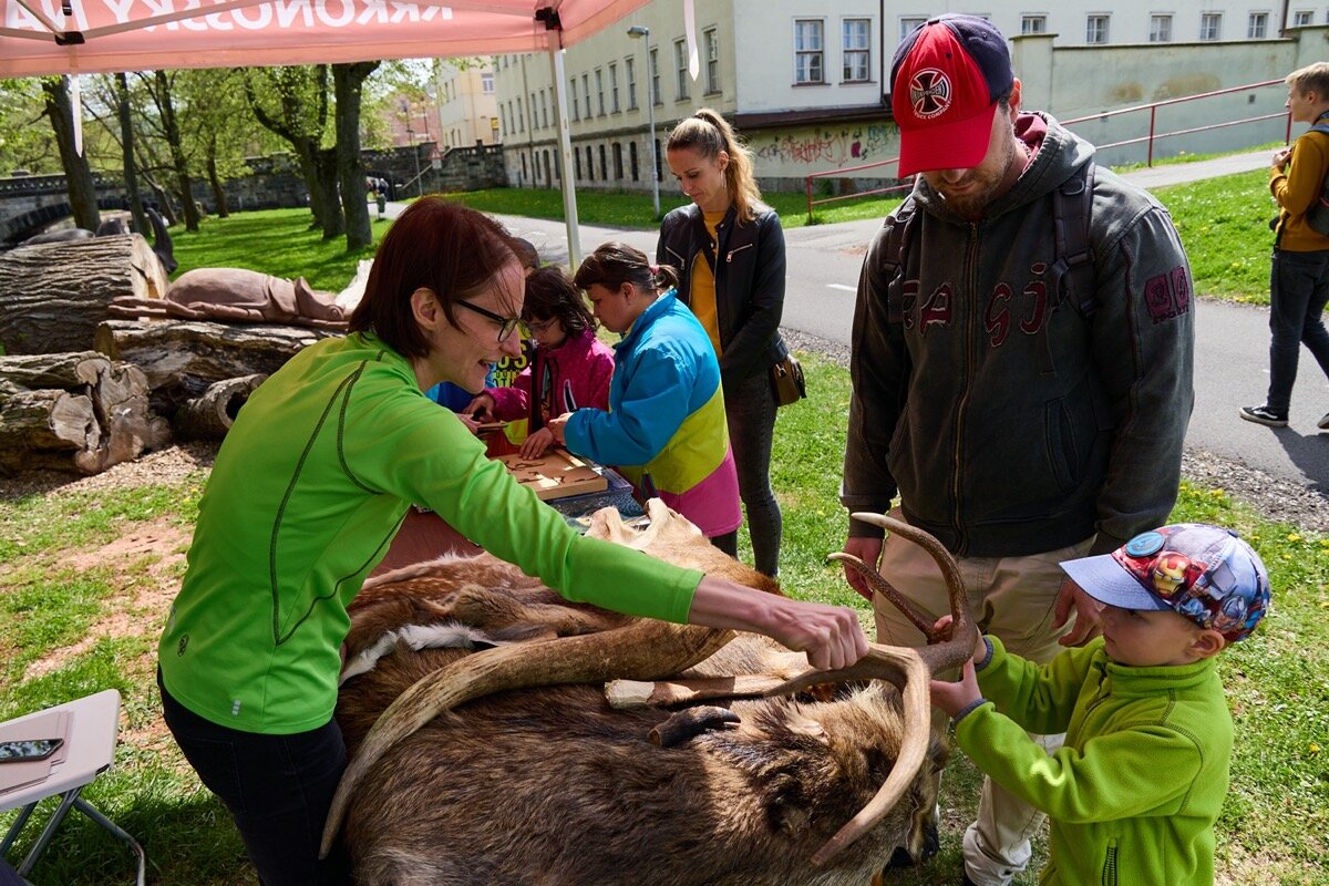 Dračí slavnosti 2022