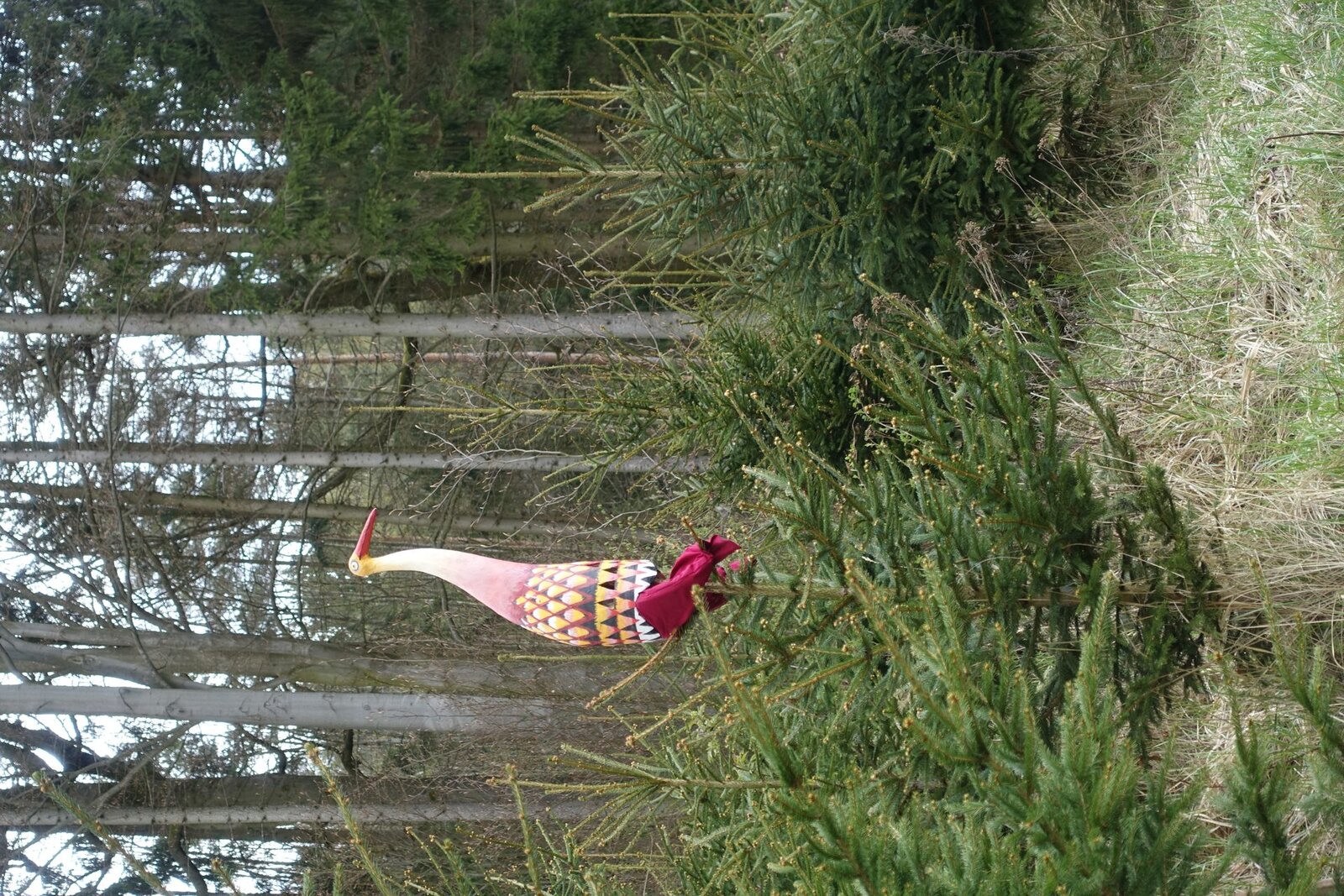 Dračí slavnosti 2023