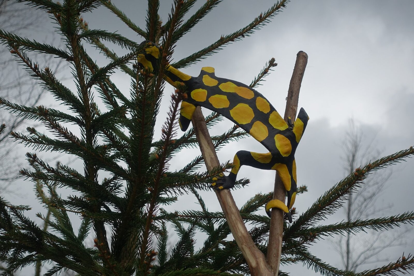 Dračí slavnosti 2023