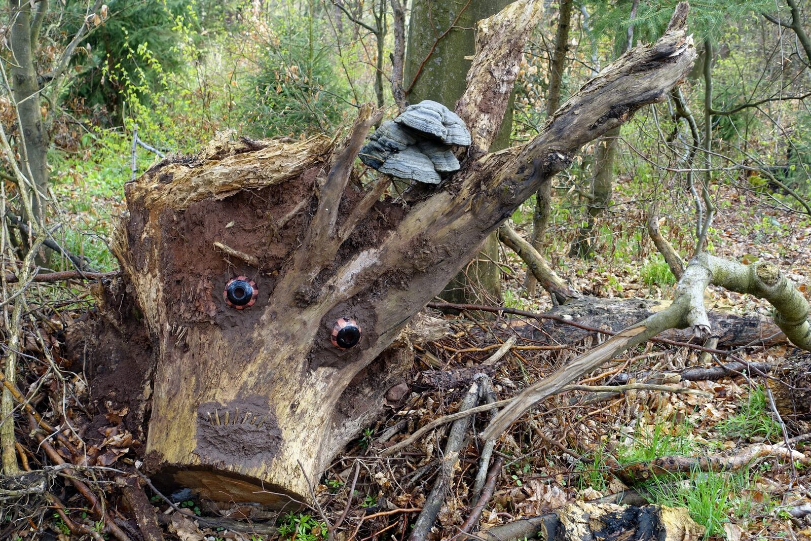 Dračí slavnosti 2023