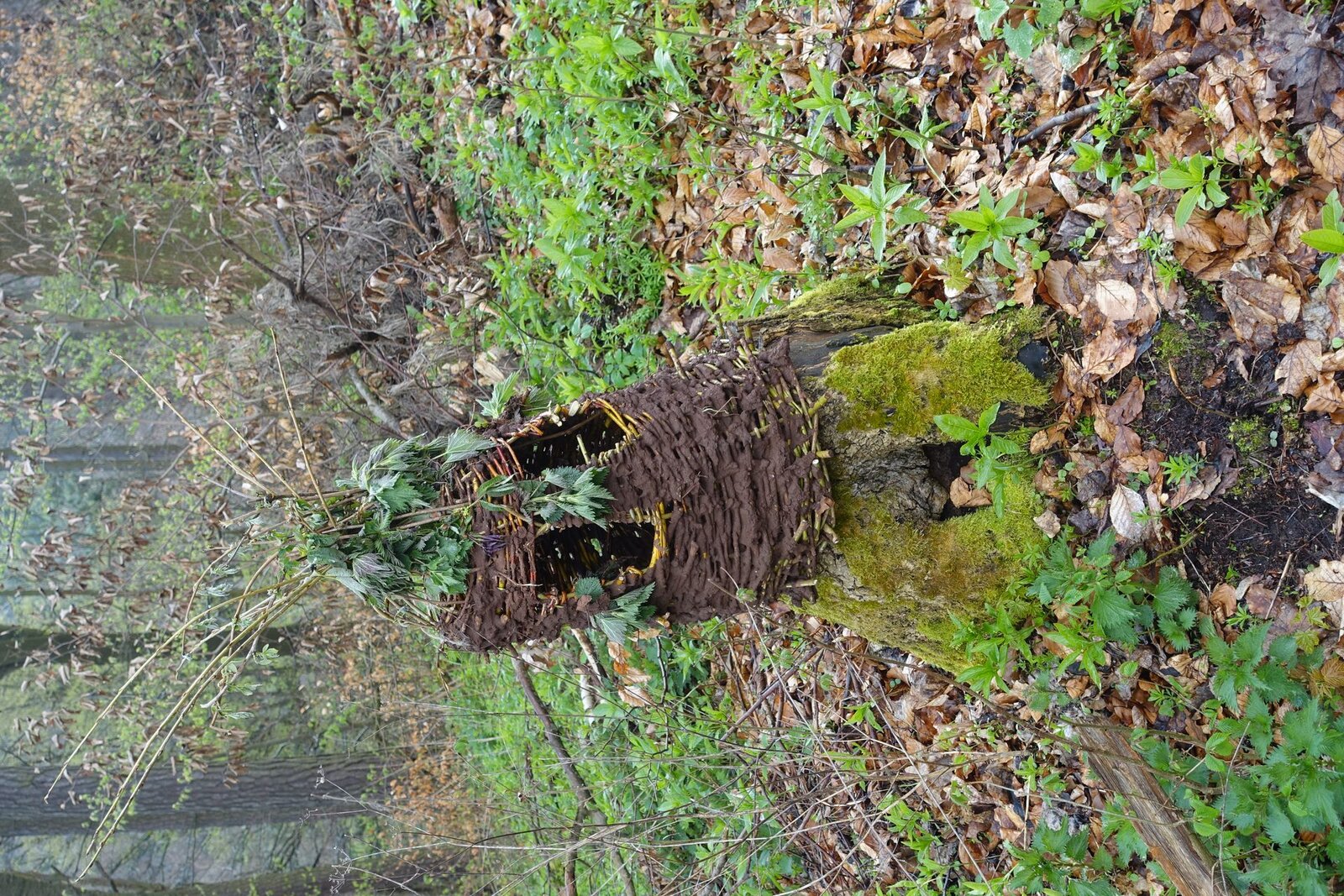 Dračí slavnosti 2023