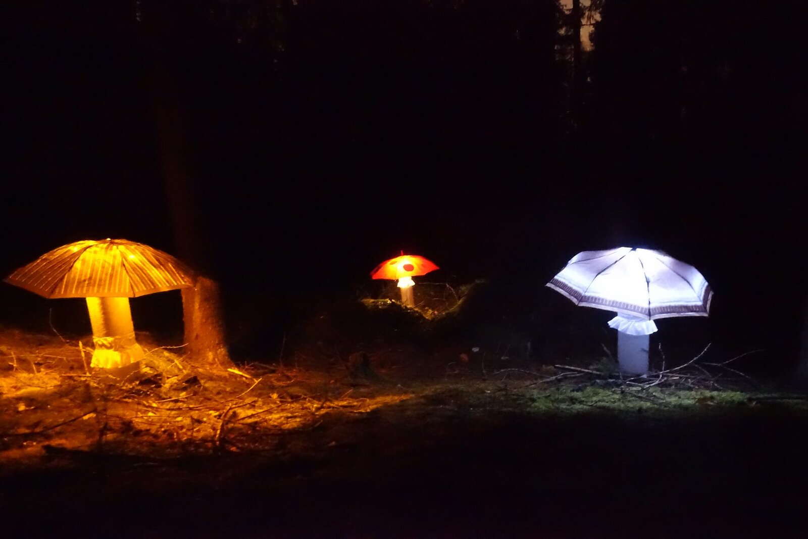 Dračí slavnosti 2023