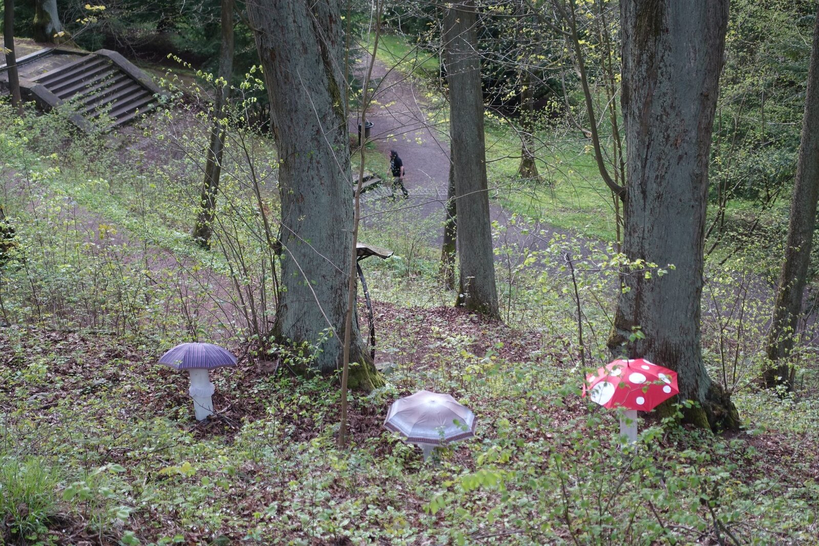 Dračí slavnosti 2023