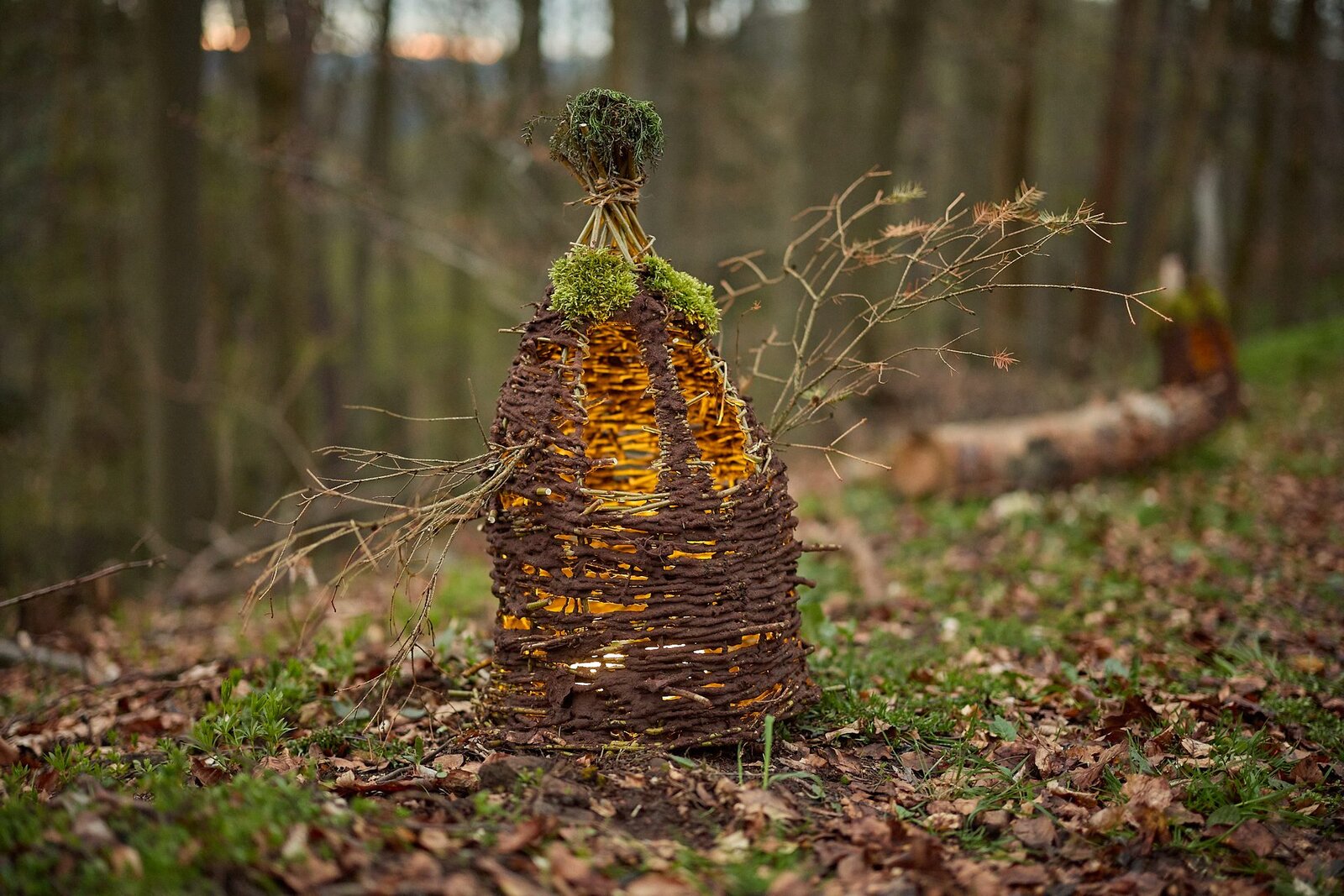 Dračí slavnosti 2023